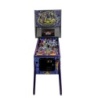 Aerosmith Limited Edition Flipper – Ansicht vorne