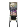 Led Zeppelin Pro Flipper – Ansicht vorne